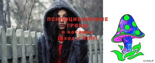 молекула духа Алзамай