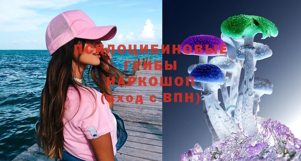 PSILOCYBIN Алексеевка