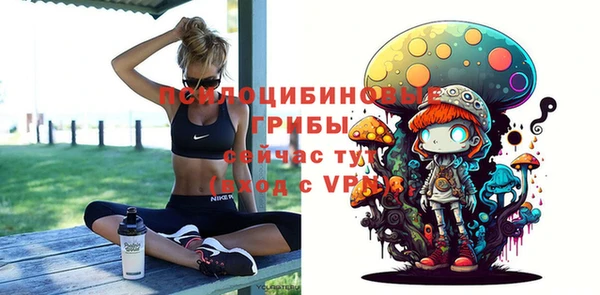 молекула духа Алзамай